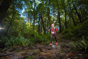 BIB: 
                            <button type="button" onclick="openModal(19231251)" class="btn btn-primary btn-sm float-right btn-popup" data-toggle="modal" data-target=".modal-high-quality">
                        <i class="fas fa-shopping-cart"></i> Add to Cart
                    </button>
                                            <button type="button" onclick="isThisMe(19231251, true)" class="btn btn-success btn-sm float-right btn-popup btn-isme hidden" data-toggle="tooltip" data-placement="bottom" title="นี่คือรูปของคุณใช่ไหม คลิกที่นี่เพื่อเอาเข้าอัลบั้ม">
                        <i class="fas fa-plus"></i> Add to album
                    </button>
                    <button type="button" onclick="isThisMe(19231251, false)" class="btn btn-warning btn-sm float-right btn-popup btn-isnotme hidden">
                        <i class="fas fa-ban"></i> Remove from album
                    </button>